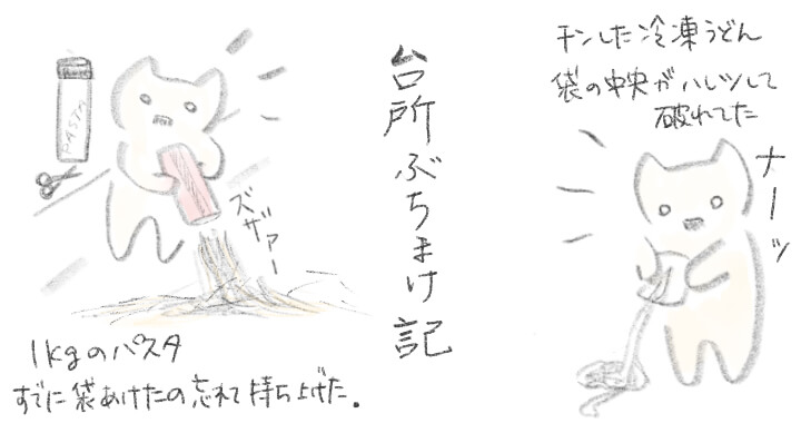 台所ぶちまけ記